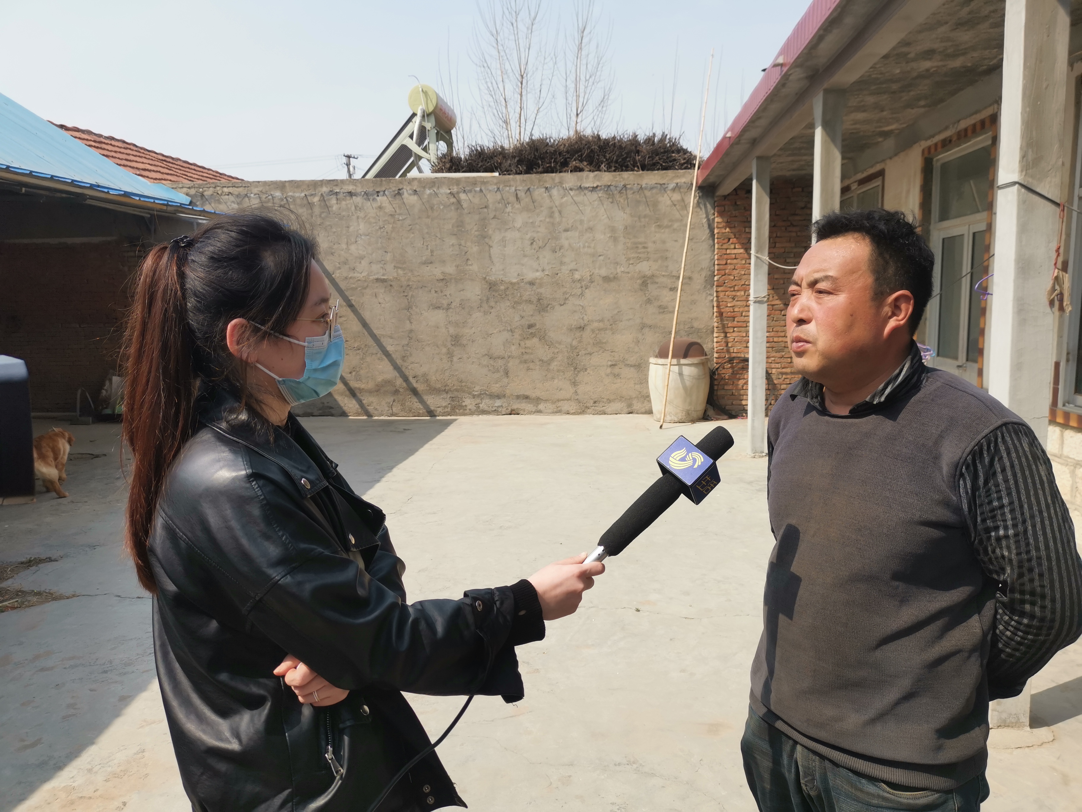 第209所 平度市崔家集镇状元府新爱体育(官网)官方网站刘丽新小学 第209所 平度市崔家集镇状元府新爱体育(官网)官方网站刘丽新小学